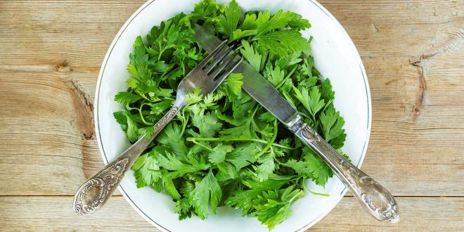 a bowl of fresh cilantro