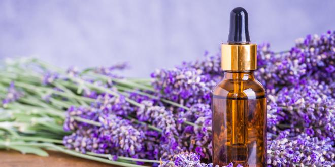 Lavender essential oil for aromatherapy