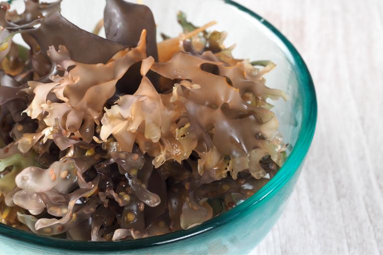 a bowl of sea moss, an edible sea vegetable